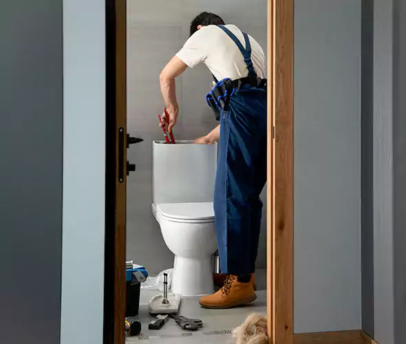 Professional Plumbers for Toilet Bowl Replacement in Garden City, ID: Schedule Affordable Toilet Replacement Services With Us