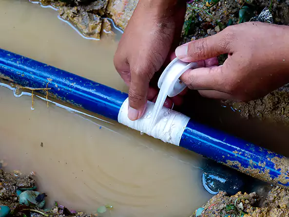  Why Choose Garden City Plumbing Pro for Leak Detection in Garden City, ID?]